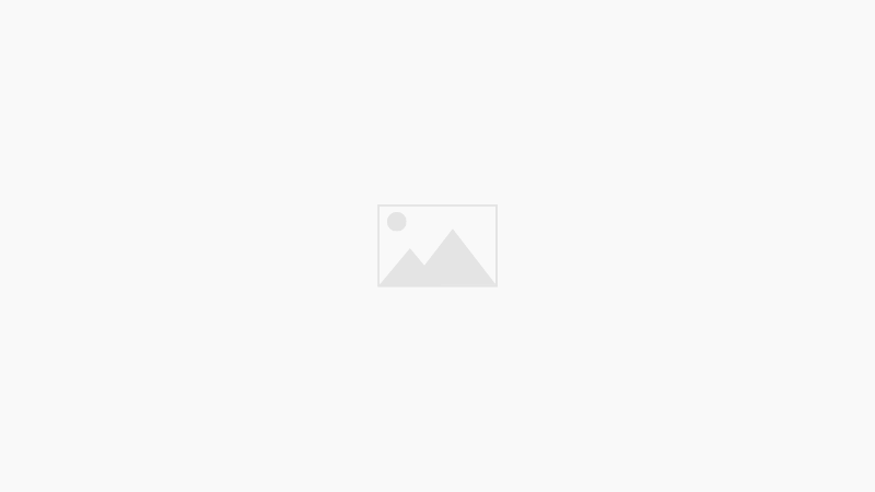Blog Feed